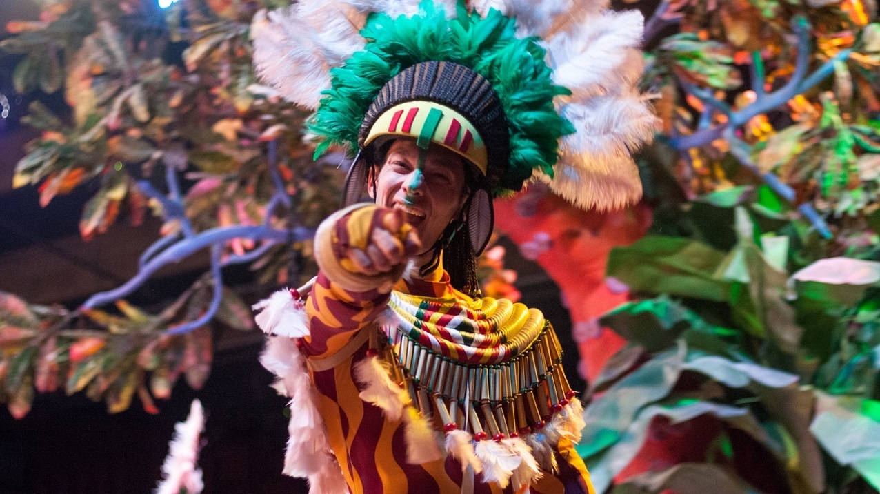 Gekke Carnaval Kapsels Banner Gekke Carnaval Kapsels Banner
