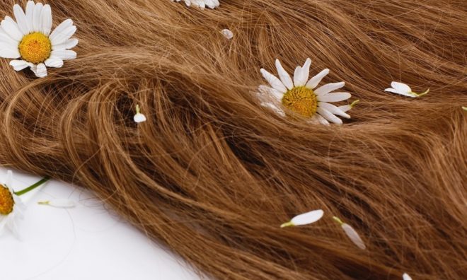Het Is Lente Banner Het Is Lente Banner